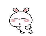 funny, dancing rabbit, dancing bunny