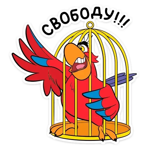 iago, der papagei, der iagu papagei, papagei sitzt in einem käfig, poster für die freiheit von papageien