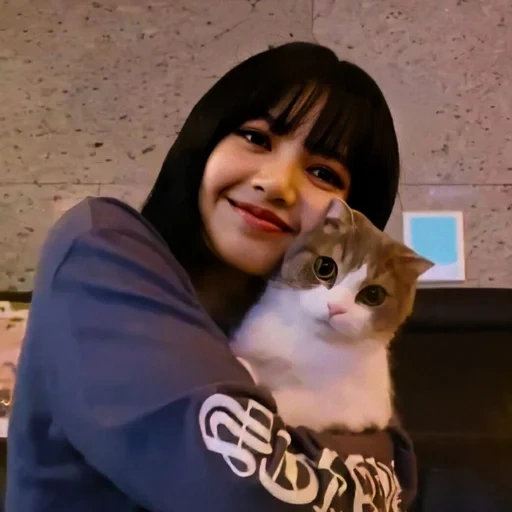 cat, настя каменских, красивые девушки, кошка лисы blackpink, blackpink in your area