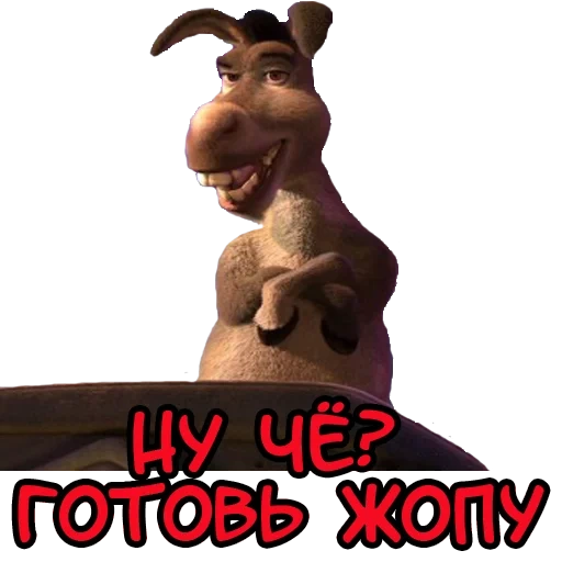 shrek, shrek donkey, shrek watsap