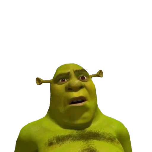 shrek, shrek 2, mème shrek, le visage de shrek, shrek vazovsky