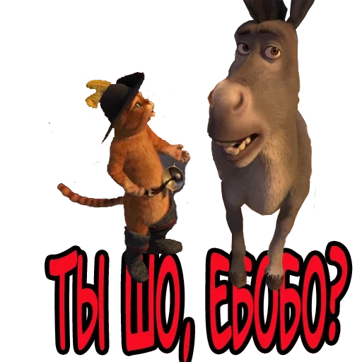 shrek, donkey shrek, el burro del shrek, shrek watsap