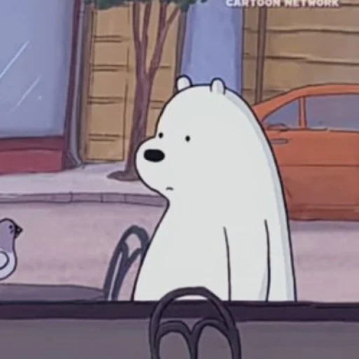 the people, der kleine bär niedlich, moodie bloos meme, die ganze wahrheit über den bären, die ganze wahrheit über den bären in weiß