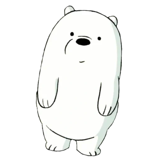 oso polar, el oso es blanco, somos osos desnudos blancos, osos desnudos oso blanco, blanco toda la verdad sobre los osos