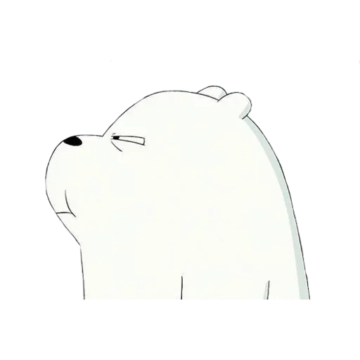 urso polar, o urso é fofo, o urso é alegre, nós ursos nuas brancos, somos ursos comuns brancos