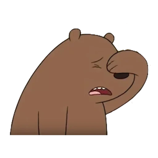 bear, bare bears, grizzly, petit ours
