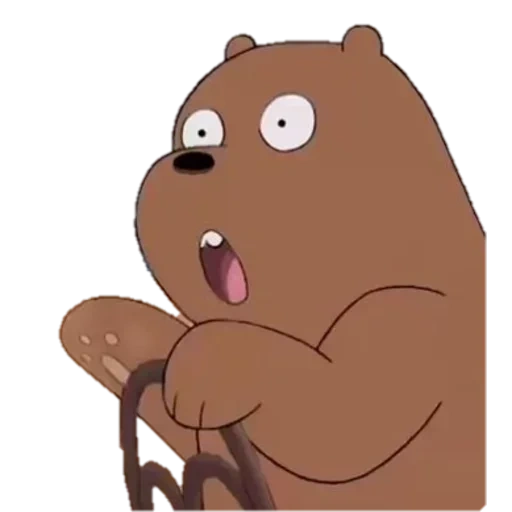 beruang, beruang telanjang, beruang coklat, seluruh kebenaran tentang beruang
