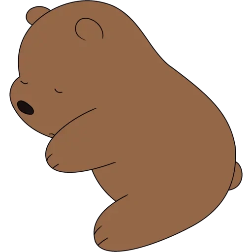 orso marrone, orso carino, orso bruno, piccolo orso, we bare bears grizzlies