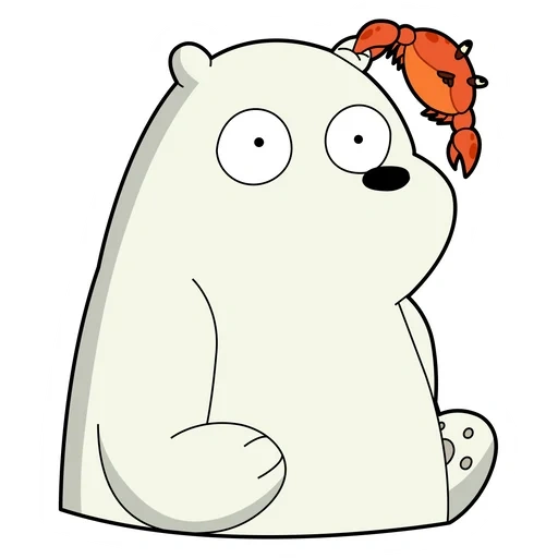 we bar bears ice bear, the whole truth about bears, bear is white, white from the whole truth about bears, the whole truth about the bears for sketches