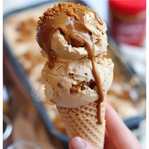 helado de biscotti, dulces de helado, helado, helado con el sabor de la anguila, pastel de queso baskin robbins