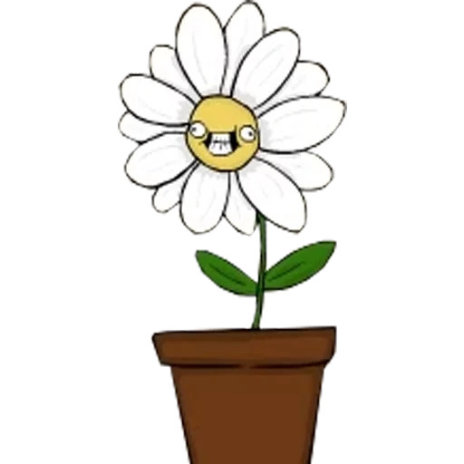 flower, bunga chamomile, garis besar pot bunga, pot bunga template, bunga maskot aster