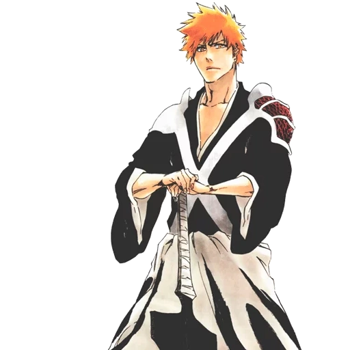 blich, blich ichigo, ichigo kurosaki, ichigo kurosaki art, mother ichigo kurosaki quincy