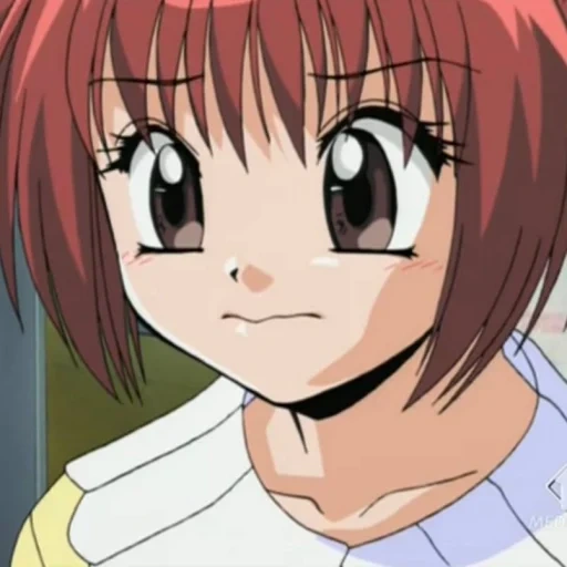 anime, anime creative, personnages d'anime, capture d'écran d'ichigo momomiya