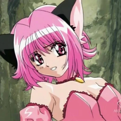 meong, tokyo mew mew, karakter anime, layar tokyo meong meong, tokyo meow akasaka