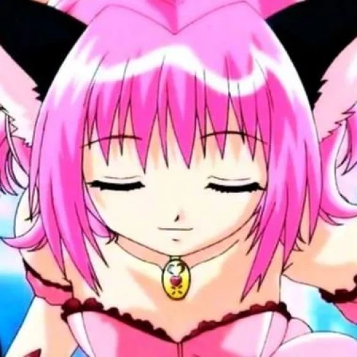 meong, anime, tokyo mew mew, karakter anime, layar tokyo meong meong