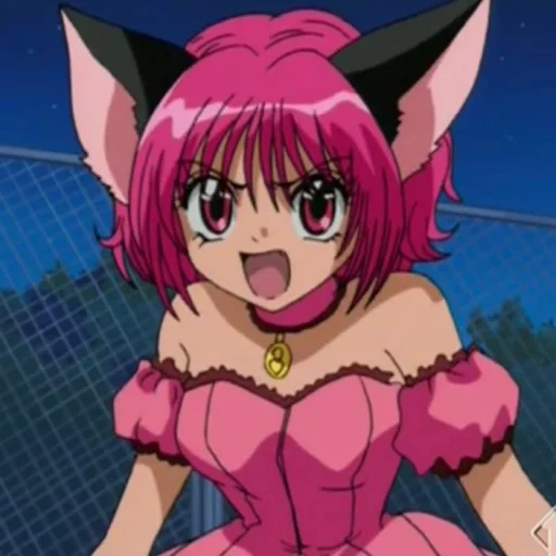 аниме, tokyo mew mew, токио мяу мяу, персонажи аниме, токийские кошечки аояма