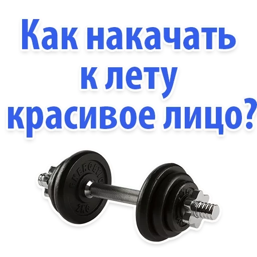 pesas, equipos de pesas, texto de la página, ejercicio de pesas, ronin sport gantel g626
