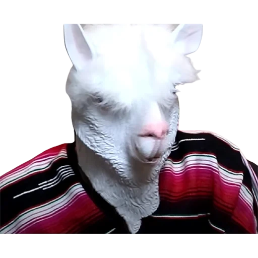 gato, máscara de una cabra, máscara alpaki, enmascarar la cabeza de alpac, alpaki mask aliexpress