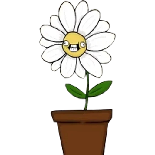 flower, ромашка цветок, ромашка персонаж, цветок горшке контур, цветок талисман ромашка