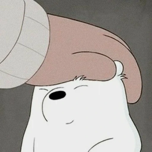 un giocattolo, noi bare bears yuri, portano orsi bianchi, tutta la verità sugli orsi, orso di orsi per orsi