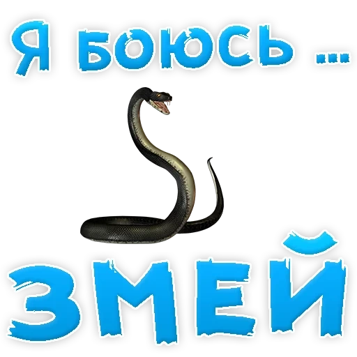 змея, кобра, я змея, я боюсь, змея змея