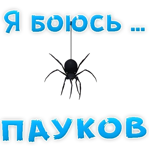 паук, я боюсь, жук паук, паук паук, огромный паук