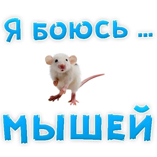 мышь, боюсь, я боюсь