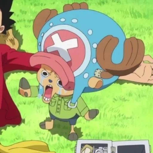 tony chopper, chopper van pis, van pis season 1, tony tony chopper, tony tony chopper van pis