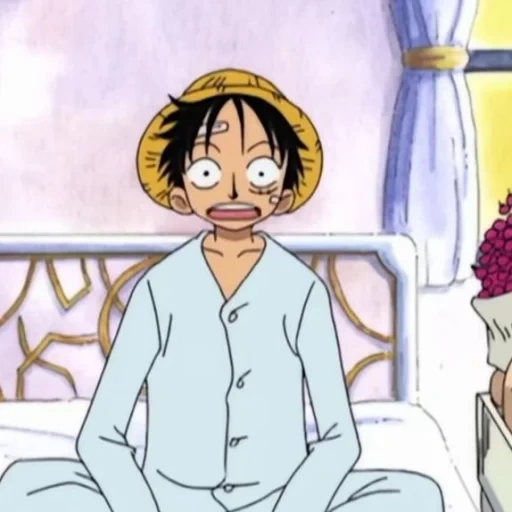 luffy, van pies, lufemanga, manchi de roufey, van pis lufi