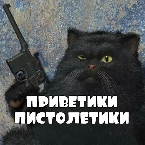 кот, кот ружьем, опасный кот, кот скрипалей, клип мастер маргарита
