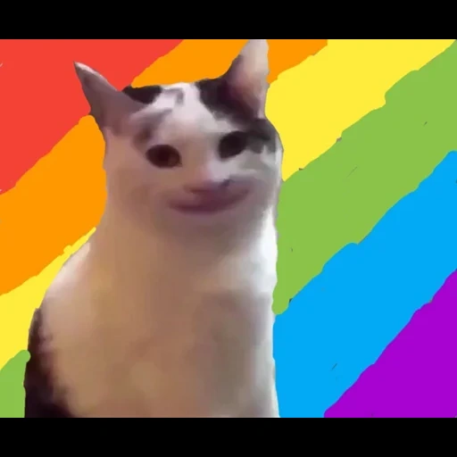 кот улыбается мем, кот рот мем, котик hehe, кот с широкой улыбкой мем, кошка из мема