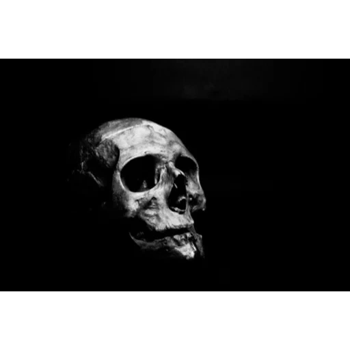 черепа, темнота, голова смерти, череп скелета, человеческий череп