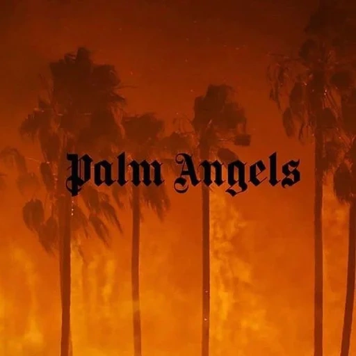 palm angels, закат пальмы, palm angels фон, обои пальм энджелс, обои компьютер palm angels