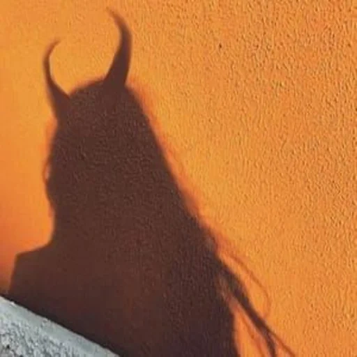 human, red background, the shadow of the demon, the shadow of the girl with horns, the shadow of the girl with horns
