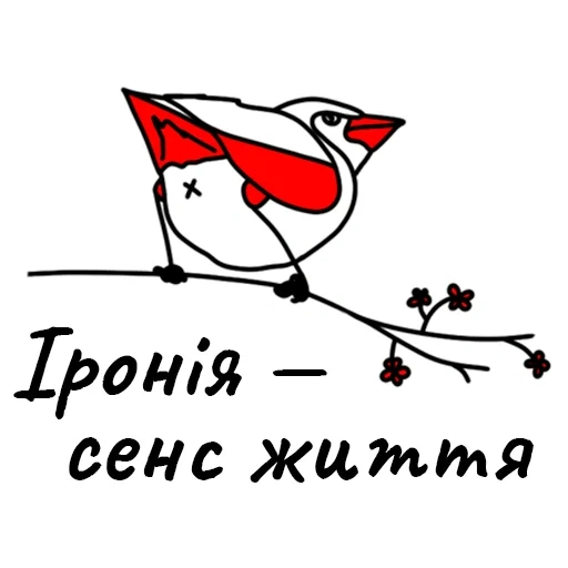 birds, red bird, bird emblem, robin logo, round bird emblem