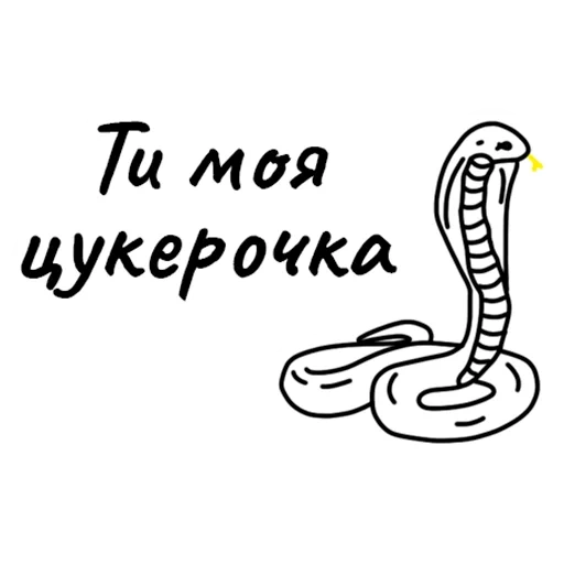 serpente, cobra serpente, colore serpente, serpente bianco e nero, snake color cool