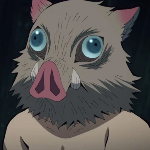enosk, kucing enosk, hahibila enosk, wild hog inoske attack, anime inoske hashibira