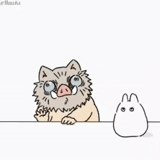 gato, um gato estrangeiro, o anime é engraçado, desenhos fofos, desenhos fofos de chibi