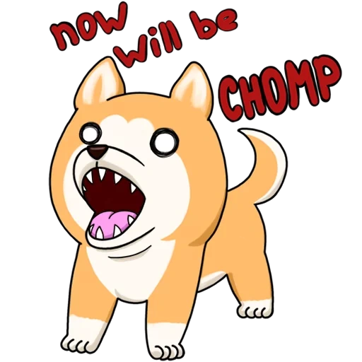 anjing, anjing akita, connichwa, anjing akita anjing shiba