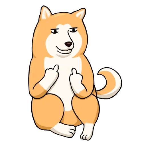 shiba inu, inu siba, akita inu