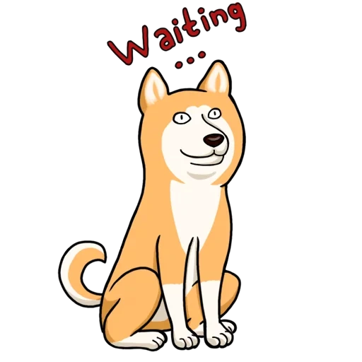 cordy, shiba is a vector, akita inu siba inu