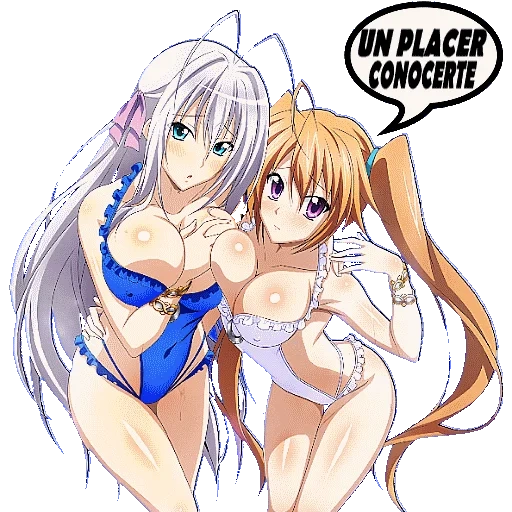 dxd rossweisse, high school dxd, старшая школа dxd, dxd rossweisse рендер