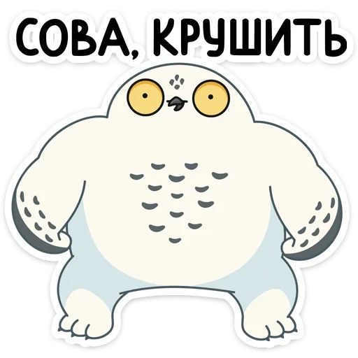 сова, сова ирви, наклейка сова