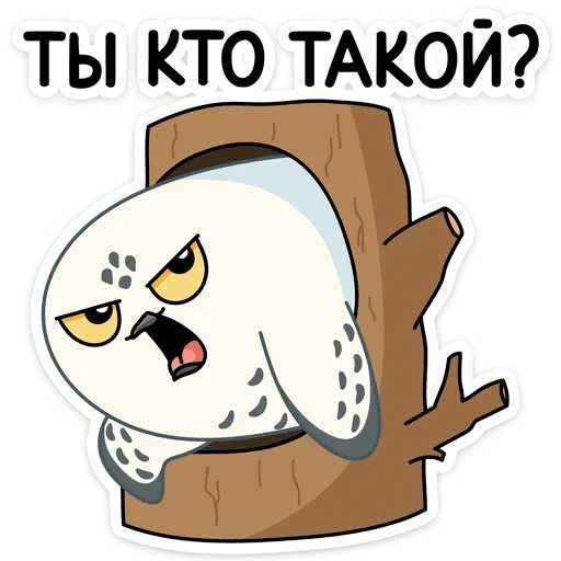 búho, elvi, owl ervi