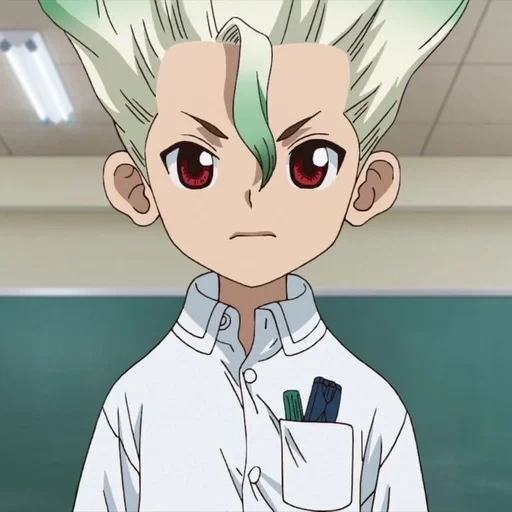 dr stone, dr stone senku, anime dr stone, sanko dr stone, senka dr stone