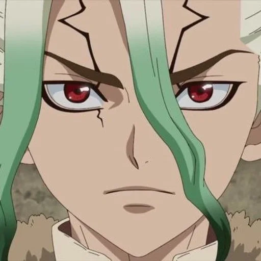 anime in pietra, personaggi anime, dr stone anime, dr stone sangen, anime dr stone senka