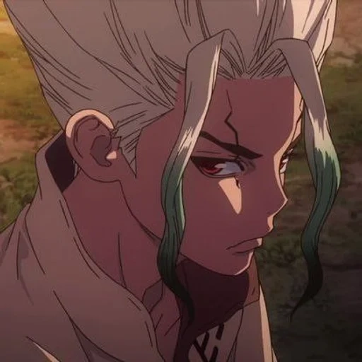 dr stone, dr stone 14h, dr stone sank, dr stone connie, anime dr stone senka