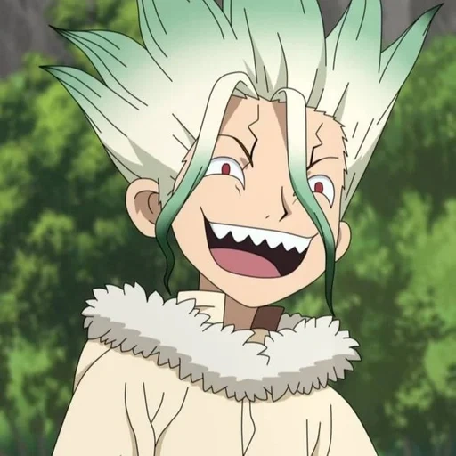 dr stone, dr stone, senka ishigami, giugno ishigami, senka dr stone