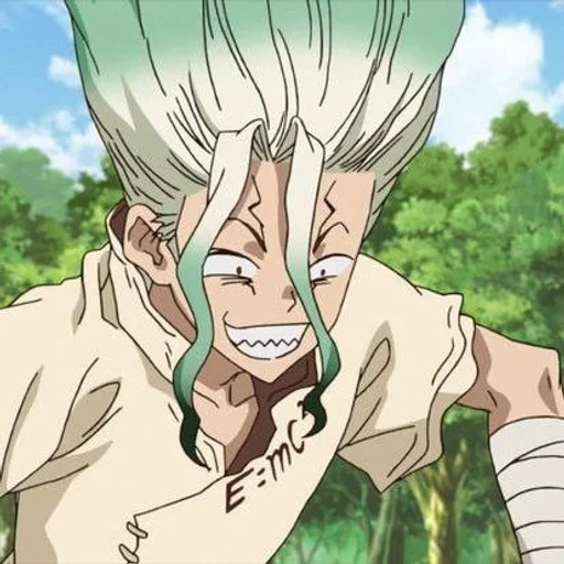 dr stone, dr stone affondò, dr stone anime, anime dr stone senka gene, minami hokutozya dr stone