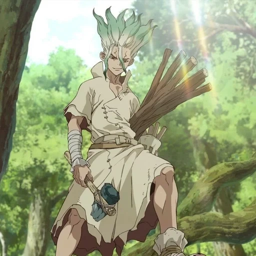 dr stone, dr stone senkuu, anime dr stone, senka dr stone, anime dr stone senka